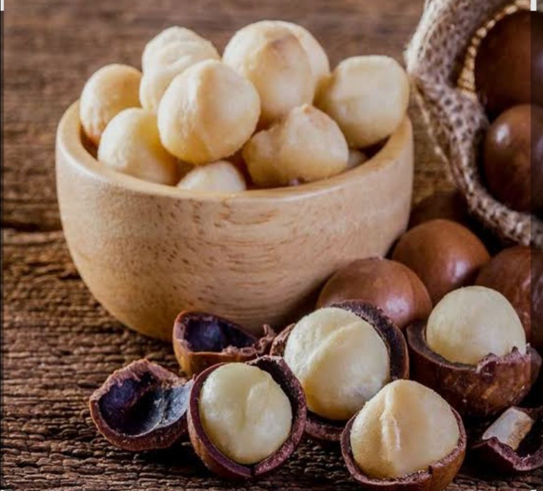 Macadamia Nuts With Cell view 3