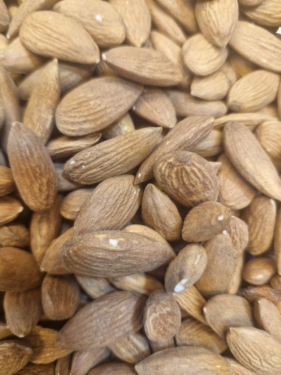 Almond Californiya Indipend view 3