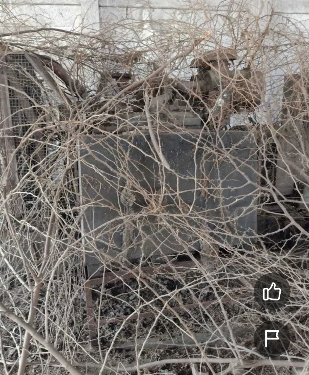 Scrap Metal Transformer