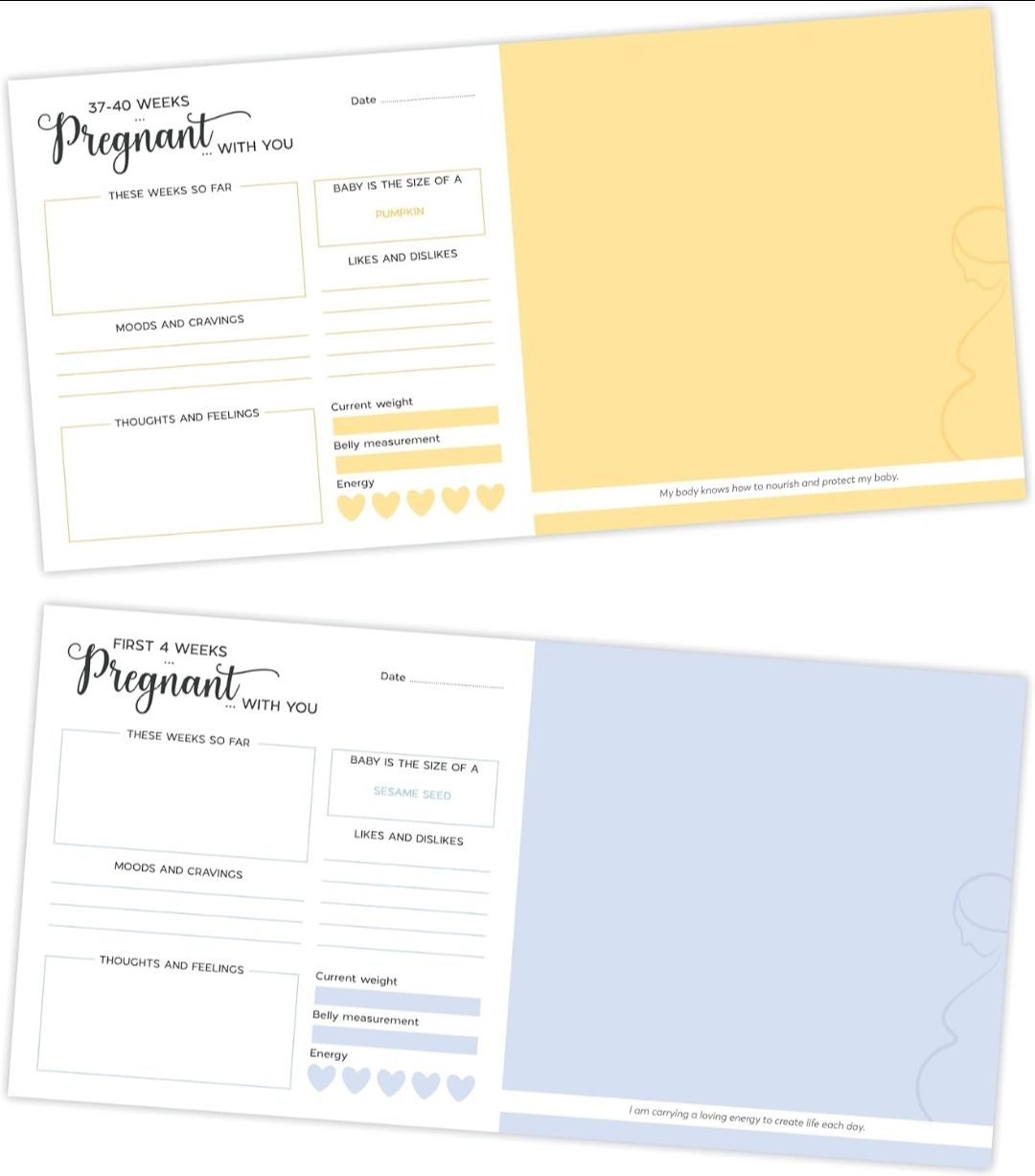 My Pregnancy Record Book | Capture Special Moments & Milestones | Keepsake Journal for Expecting Moms | Organized, Thoughtful, and Beautifully Designed view 4