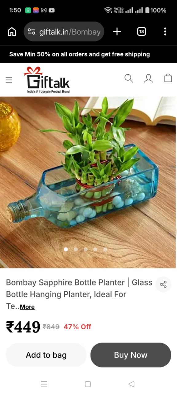 Bombay Sapphire Bottle Planter view 2