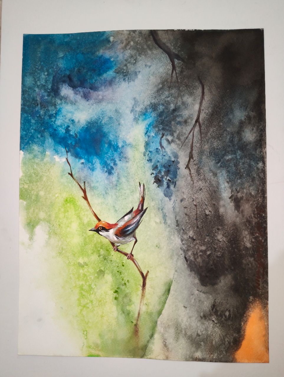 Bird Watercolor Art view 2