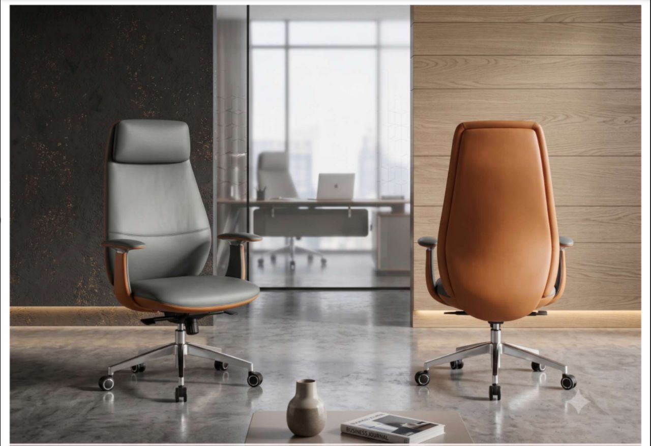 Executive Office Chair view 2