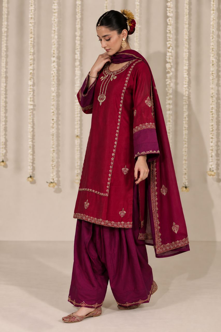 Deep Wine tissue silk Farshi with intricate handwork all over view 4