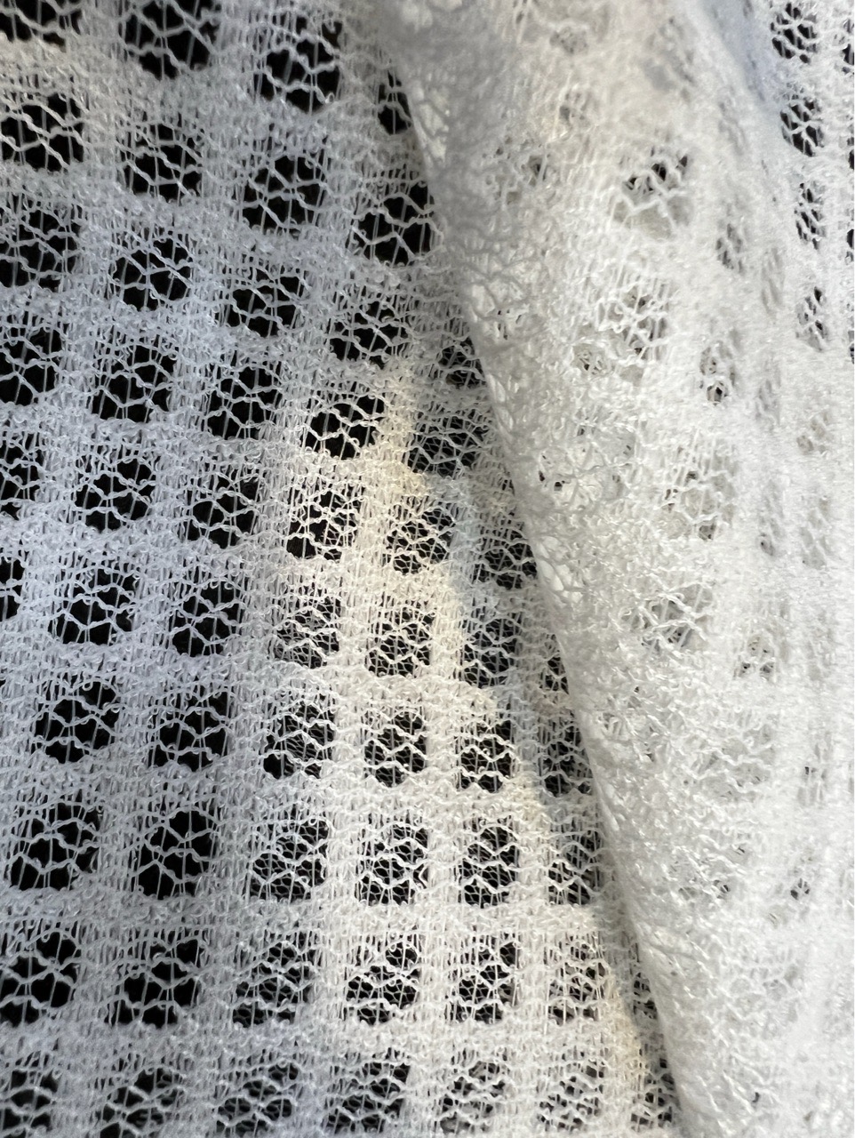 FANET06 Mesh Lace  Fabric view 2