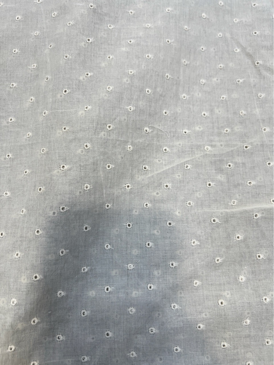 FAEM11 Embroidered Cotton Fabric view 2