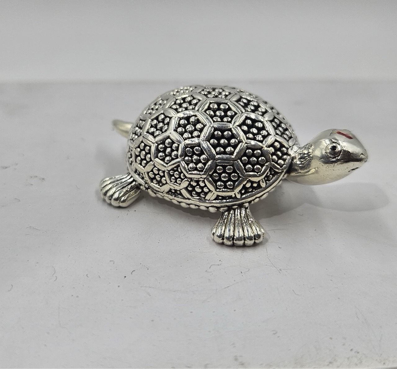 Silver Turtle 999 view 2