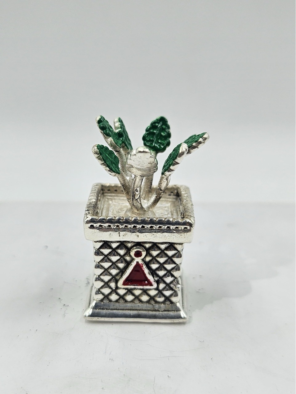 Silver Tulsi Plant  999 view 2