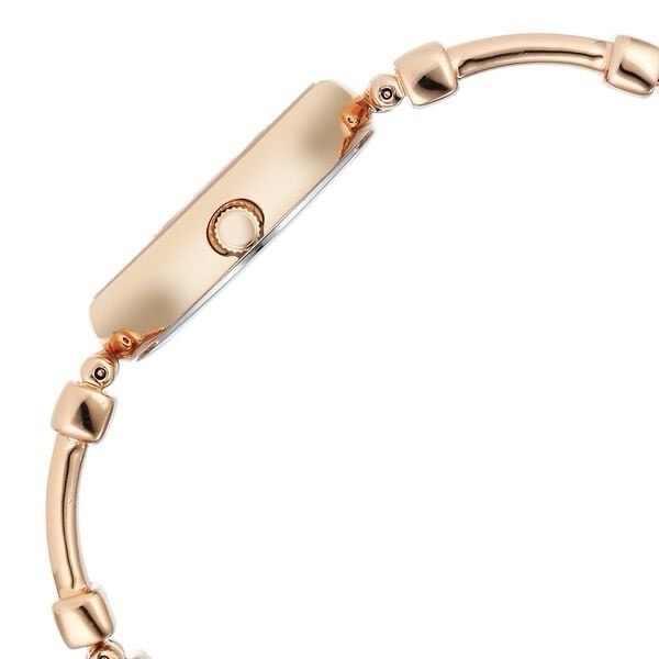 Titan Raga Womens Watch 95263wm01 view 4