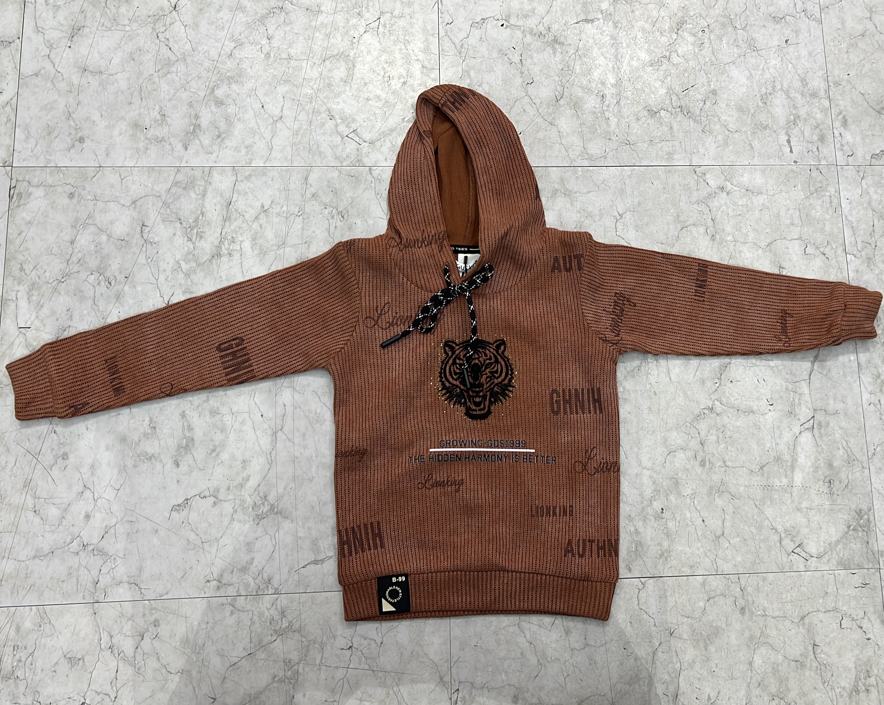 Tiger Print Boys Hoodie view 2