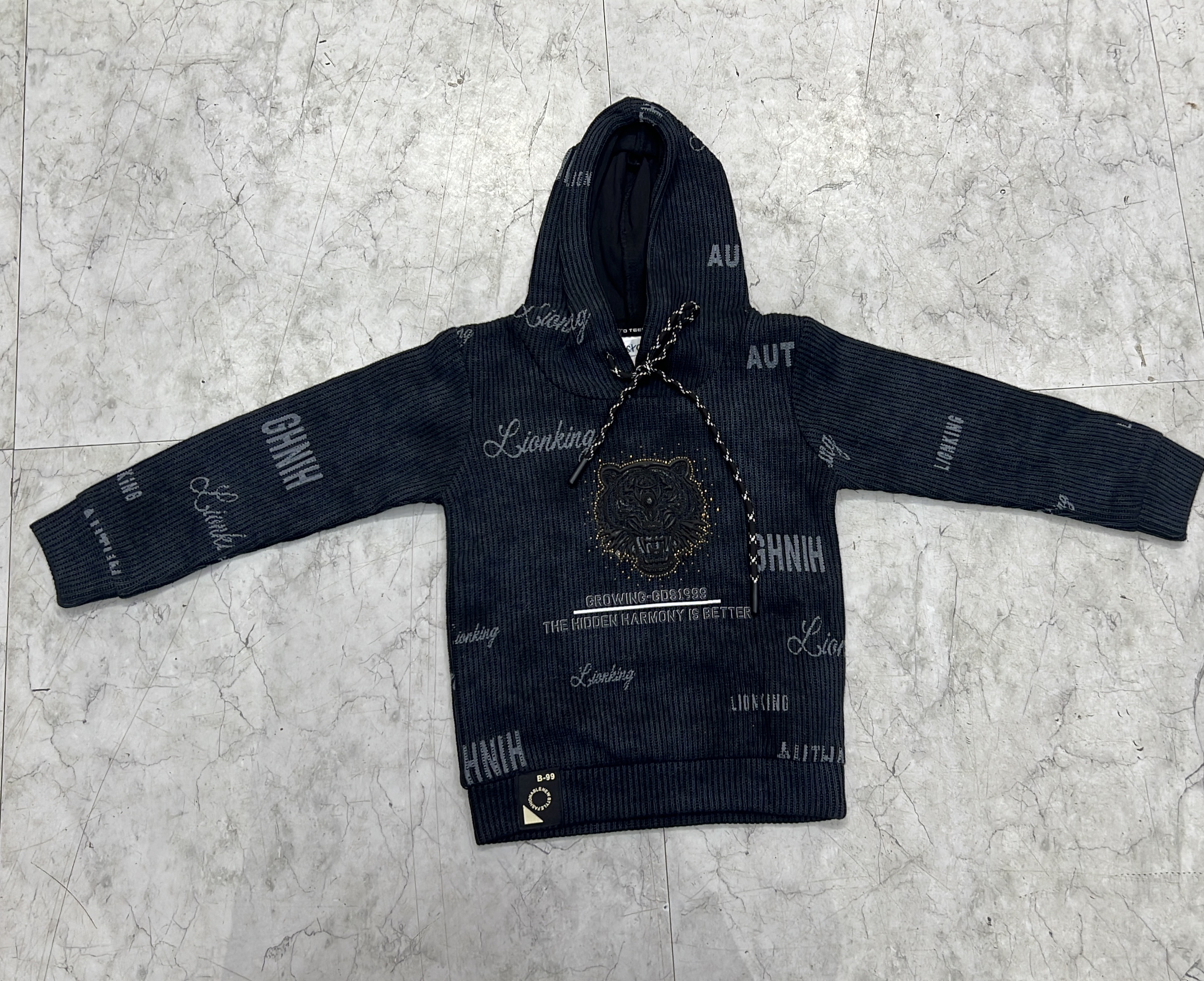 Lionking Boys Hoodie view 2