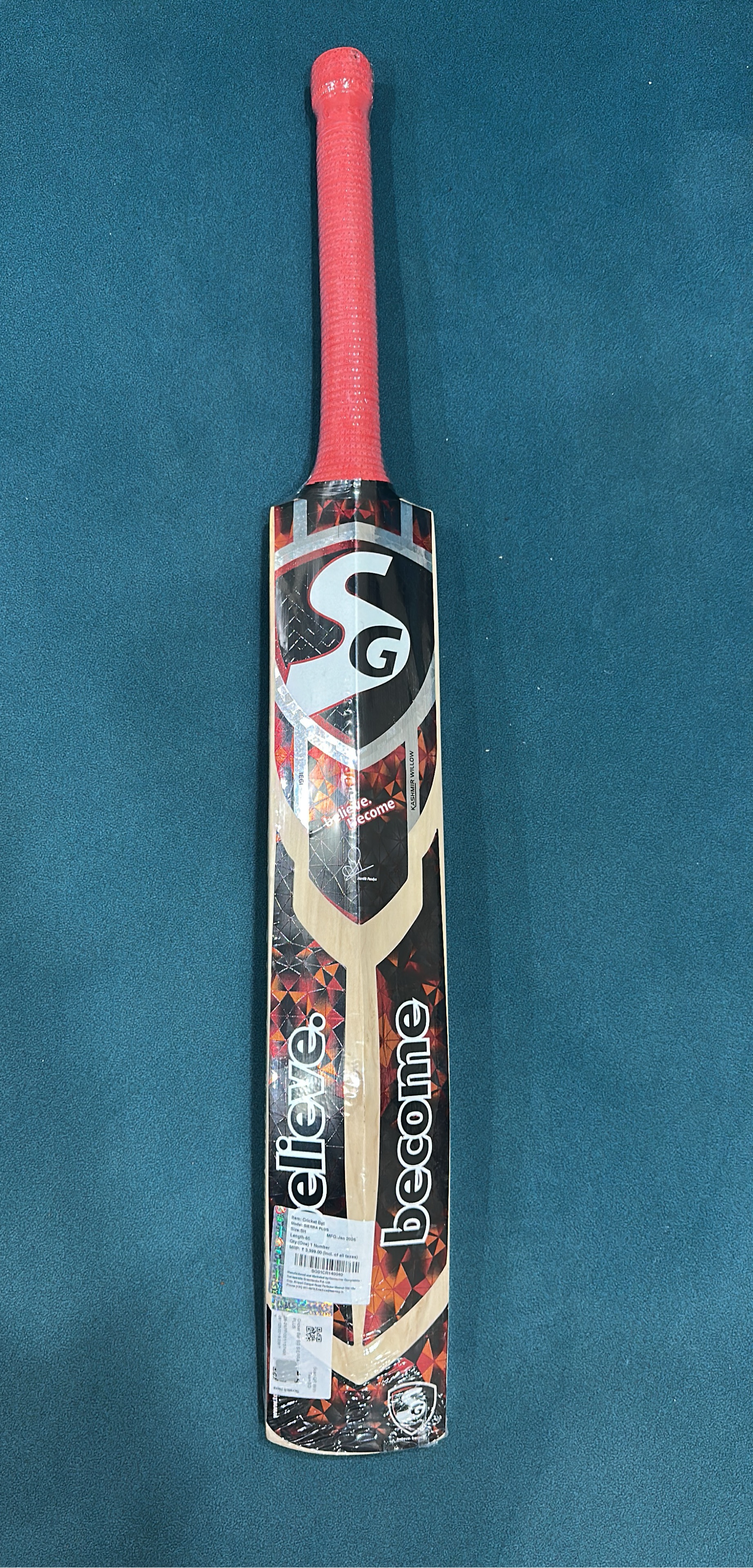 SG Sierra Plus Cricket bat view 2