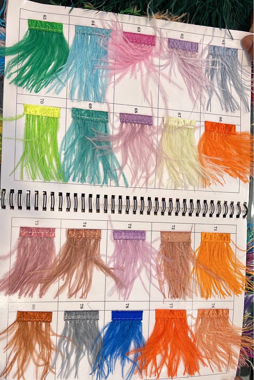 Colorful Feather Trimming view 7