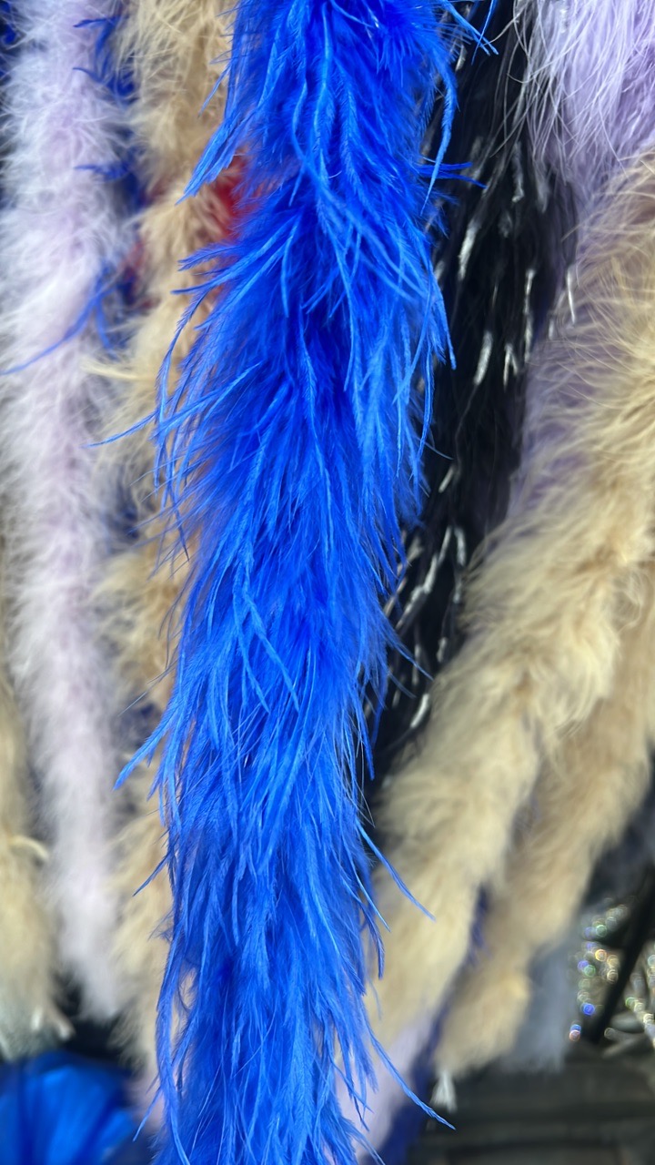Boas Feather Trim view 7