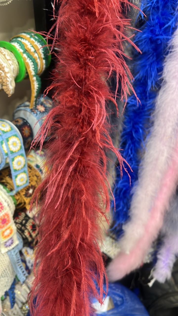 Boas Feather Trim view 8
