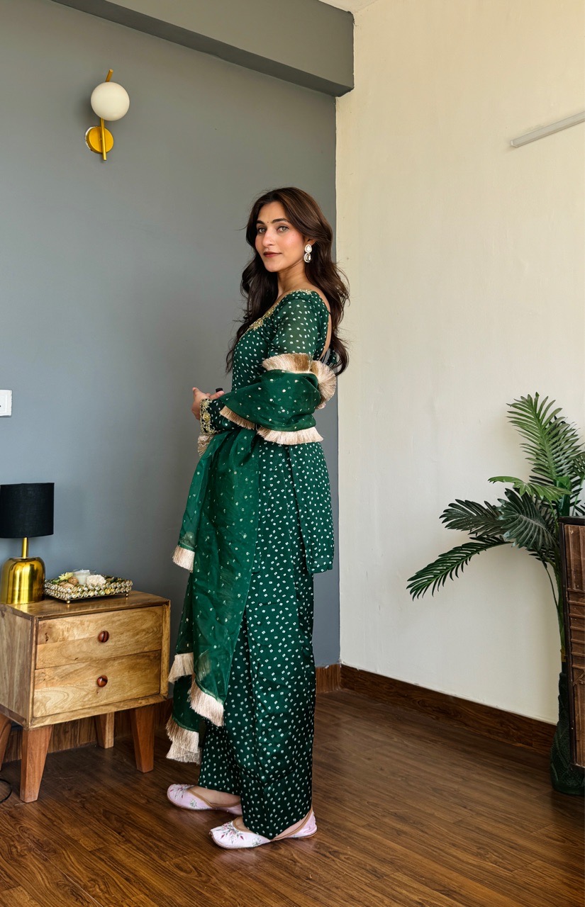 ‘Noor’ Farshi Salvar set view 2