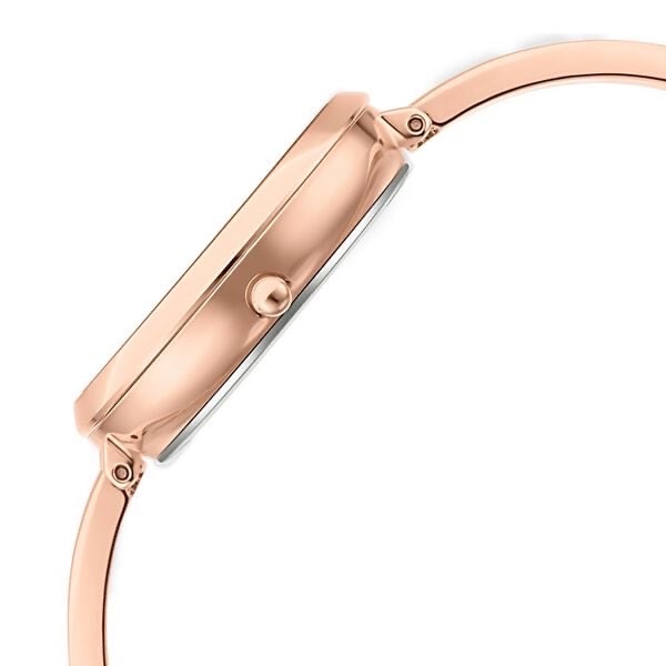 Titan Raga Women’s Watch 2647WM01 view 3