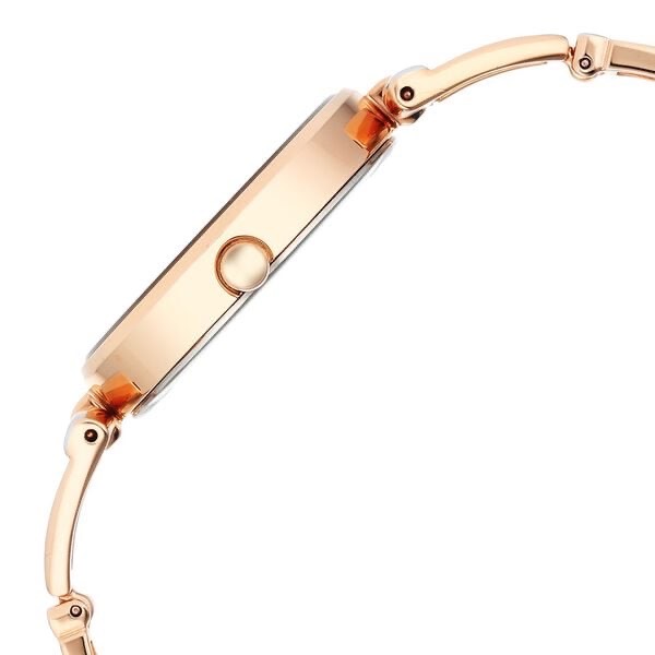 Titan Raga Womens Watch 2747KM01 view 3