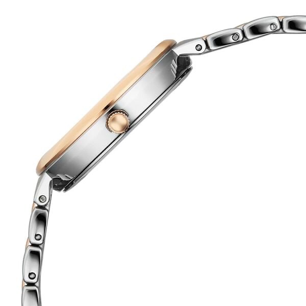 Titan Womens Watch 95364KM01 view 2