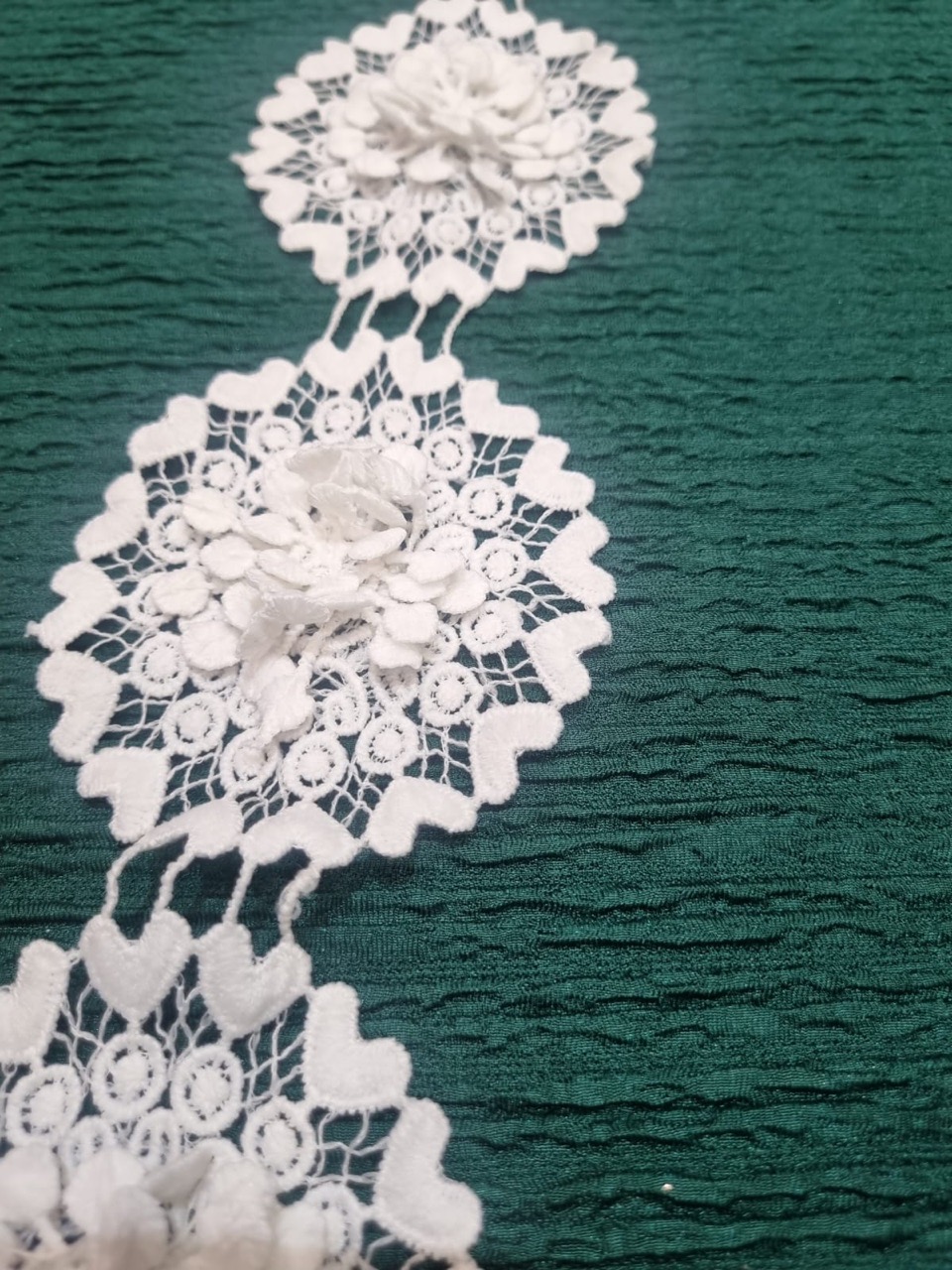 FAGL33 Embroidered Lace Trim view 2