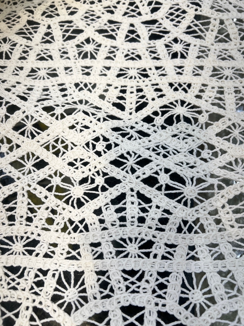 FACR6033 Lace Fabric view 2