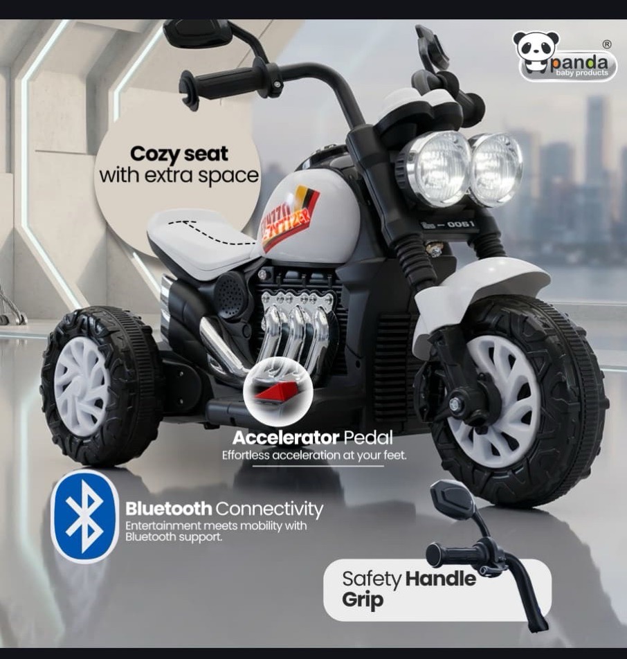 Panda Ride-On Motorcycle