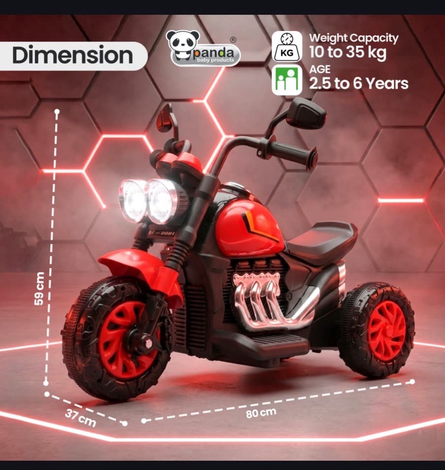 Panda Kids Electric Bike