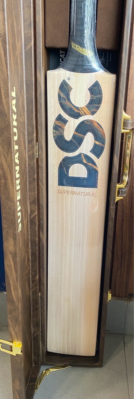 DSC Supernatural Players Bat view 2