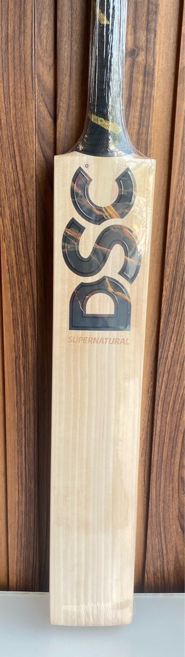 DSC Supernatural Players Bat view 4
